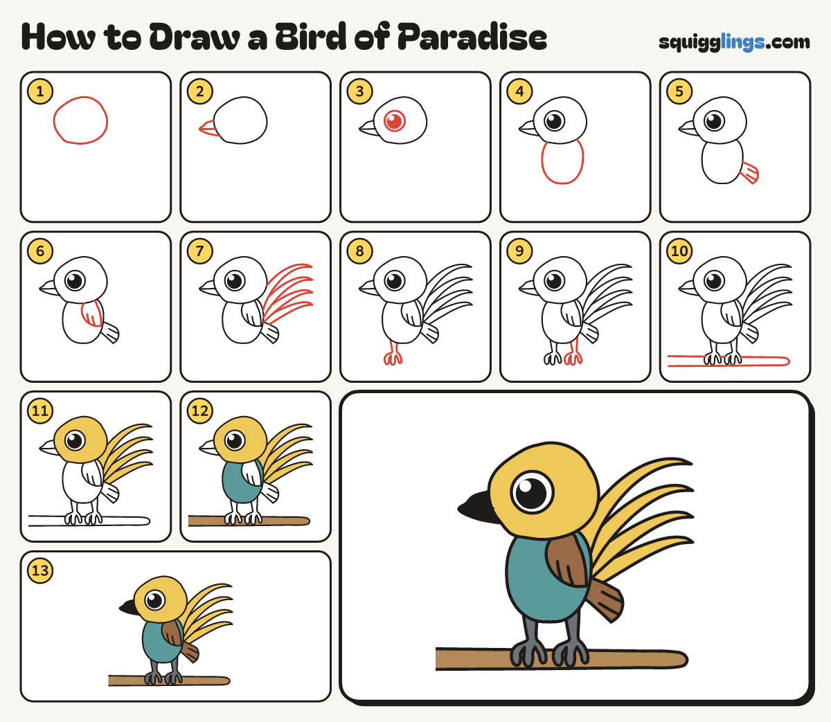 How to Draw a Bird of Paradise step by step: all 13 steps in one picture