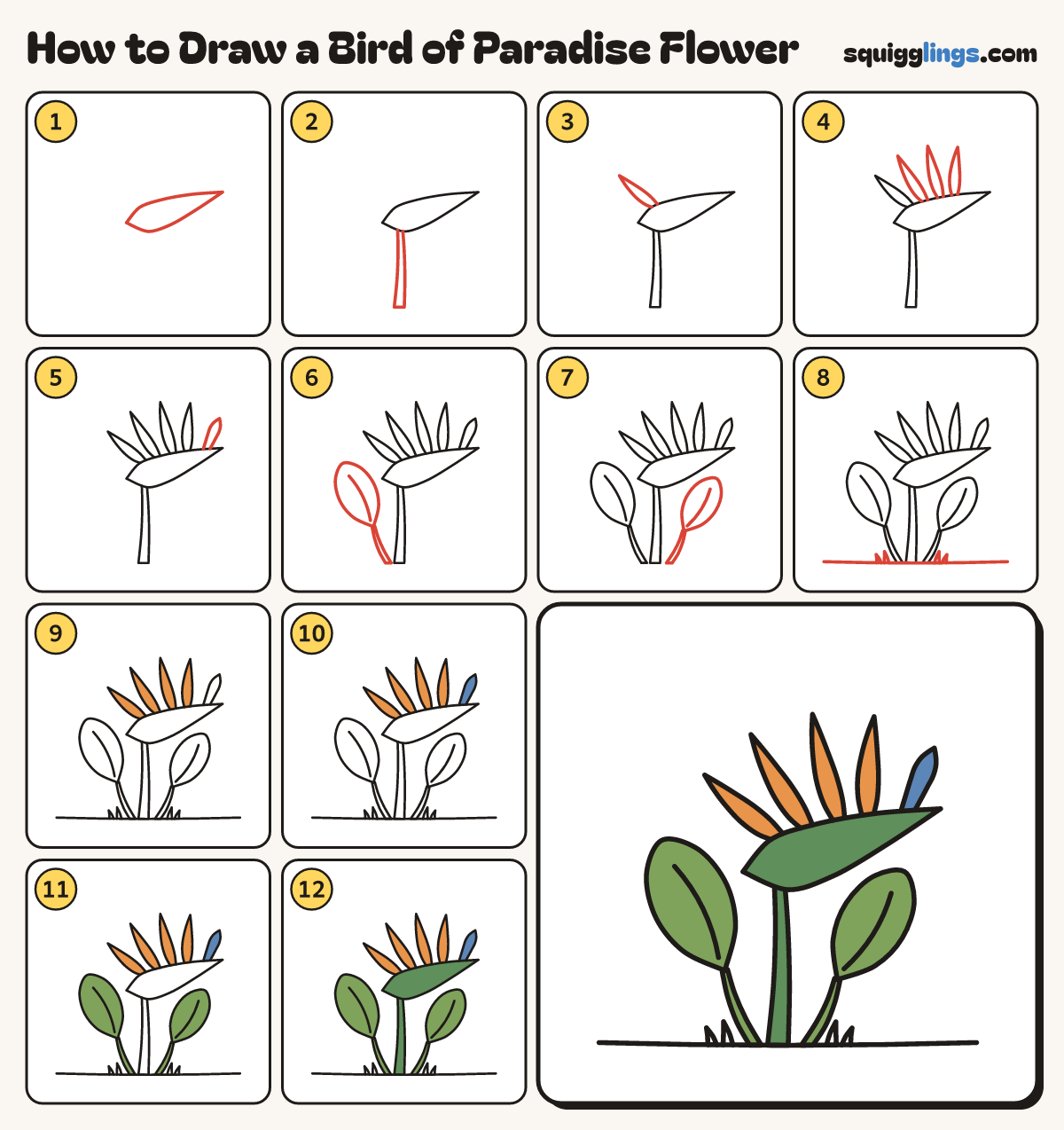How to Draw a Bird of Paradise Flower step by step: all 12 steps in one picture