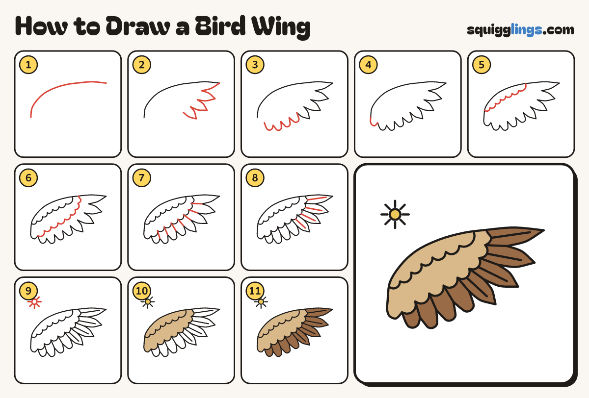 How to Draw a Bird Wing step by step: all 11 steps in one picture