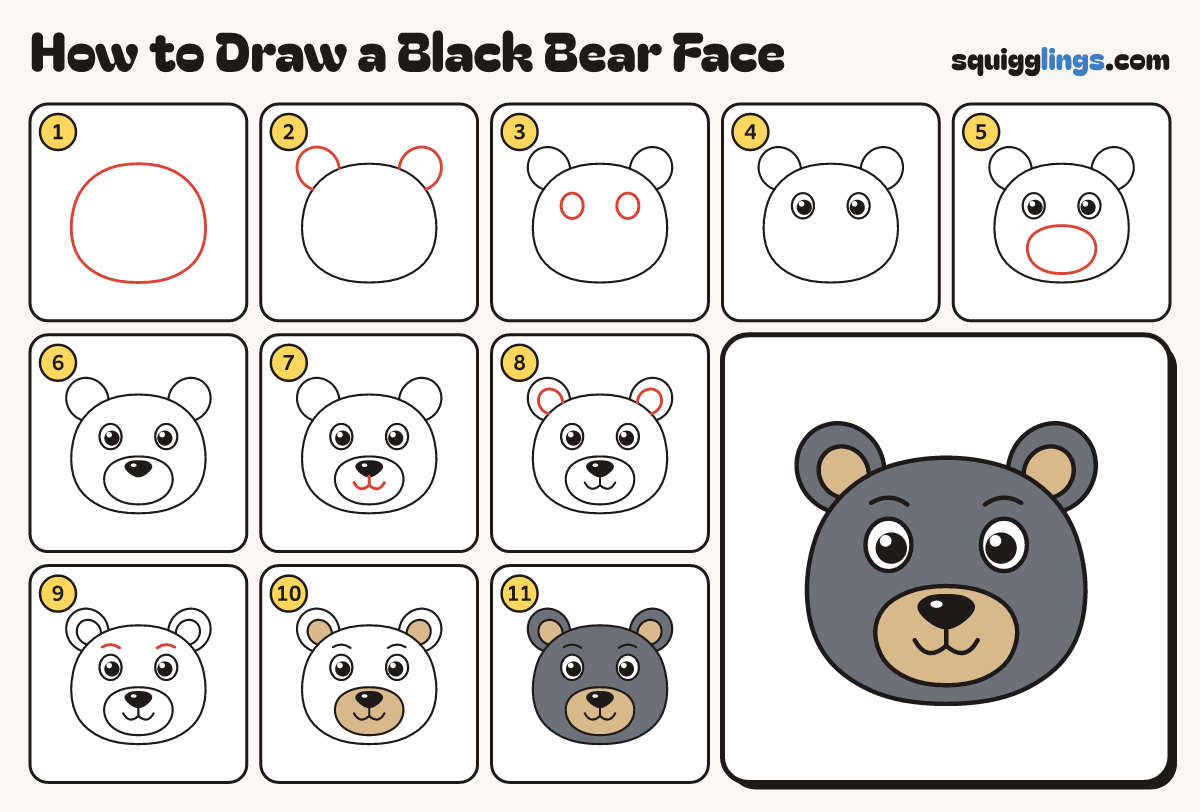 How to Draw a Black Bear Face step by step: all 11 steps in one picture
