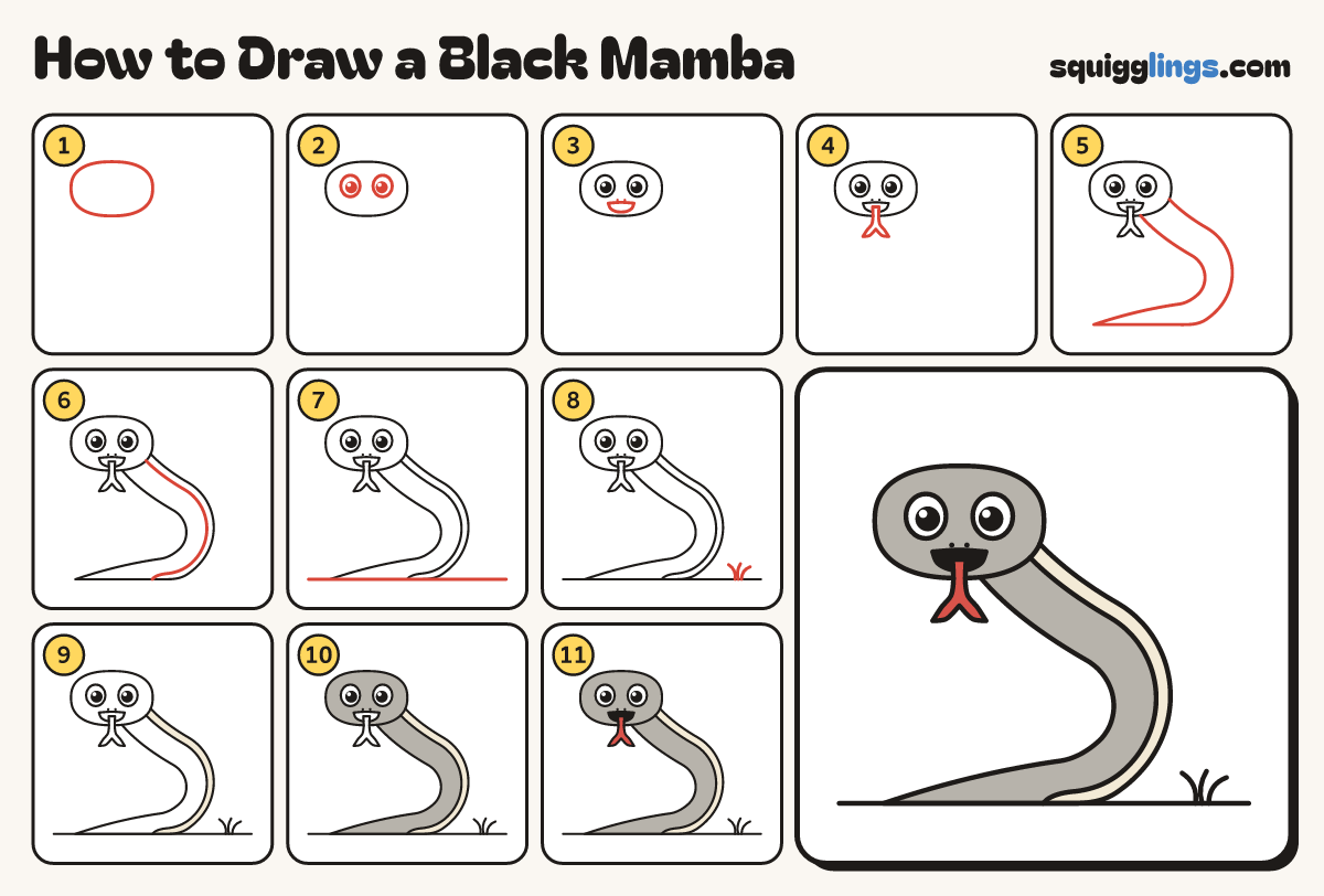 How to Draw a Black Mamba step by step: all 11 steps in one picture