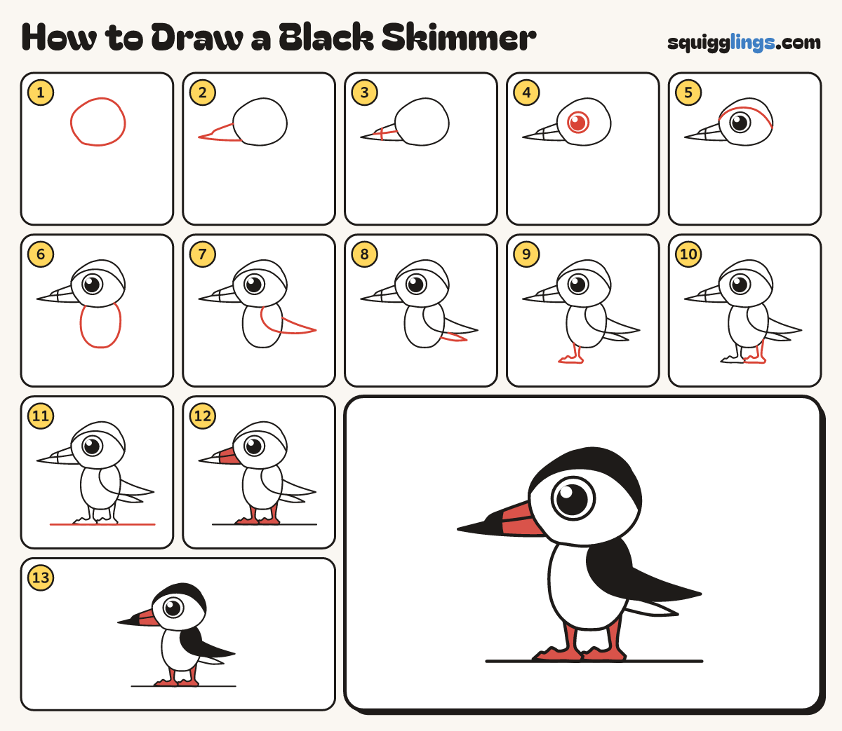 How to Draw a Black Skimmer step by step: all 13 steps in one picture