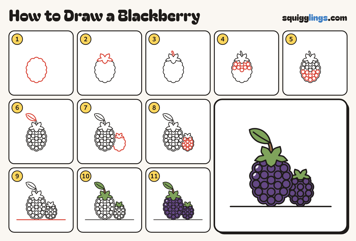 How to Draw a Blackberry step by step: all 11 steps in one picture