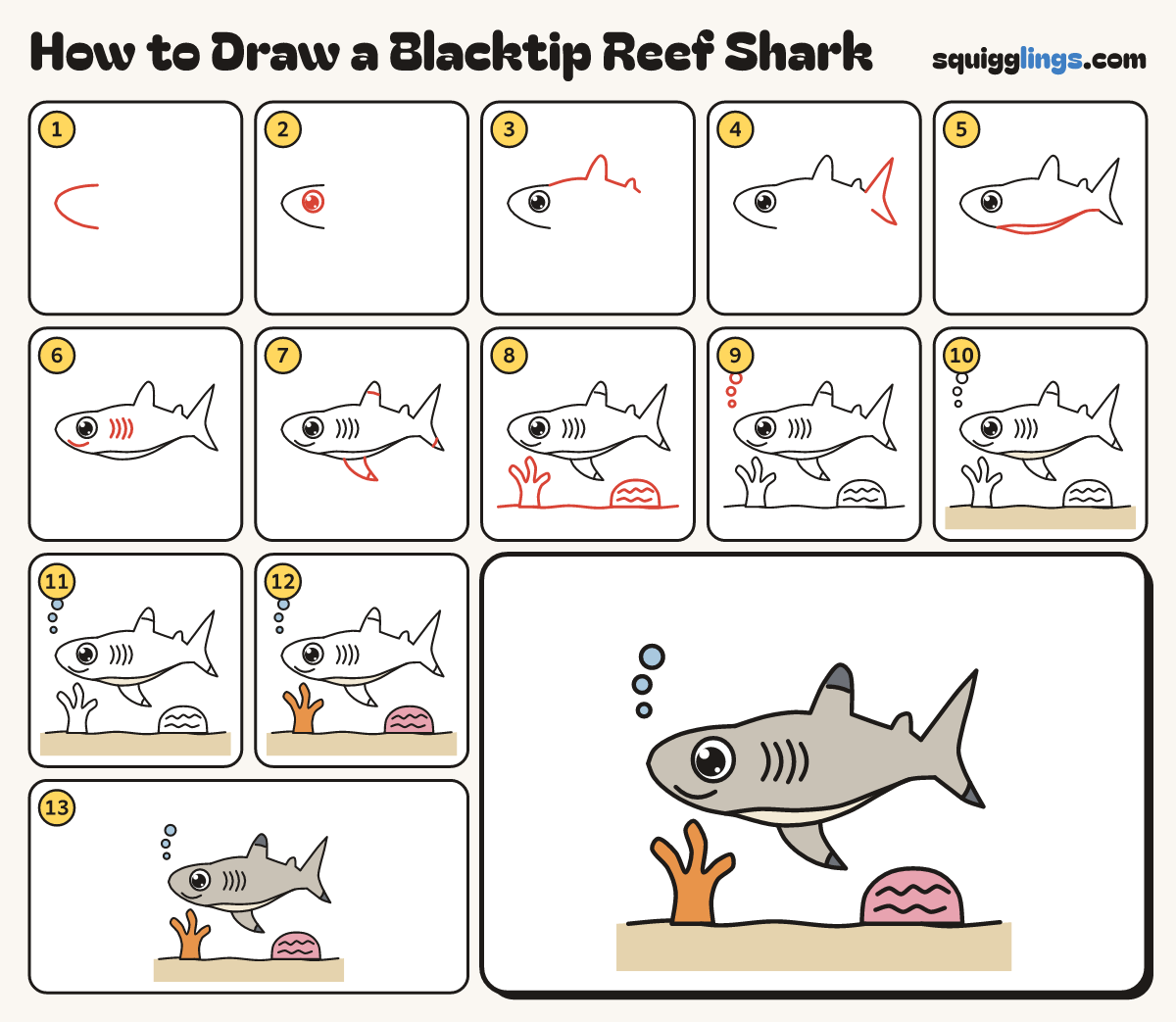 How to Draw a Blacktip Reef Shark step by step: all 13 steps in one picture