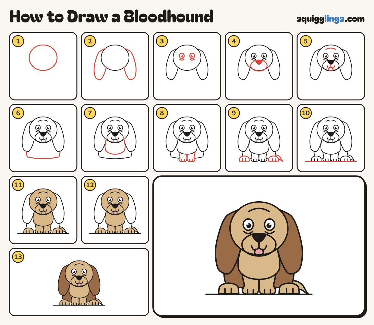How to Draw a Bloodhound step by step: all 13 steps in one picture