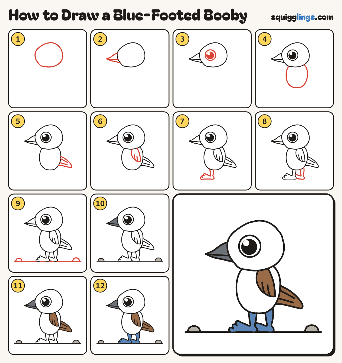 How to Draw a Blue-Footed Booby step by step: all 12 steps in one picture