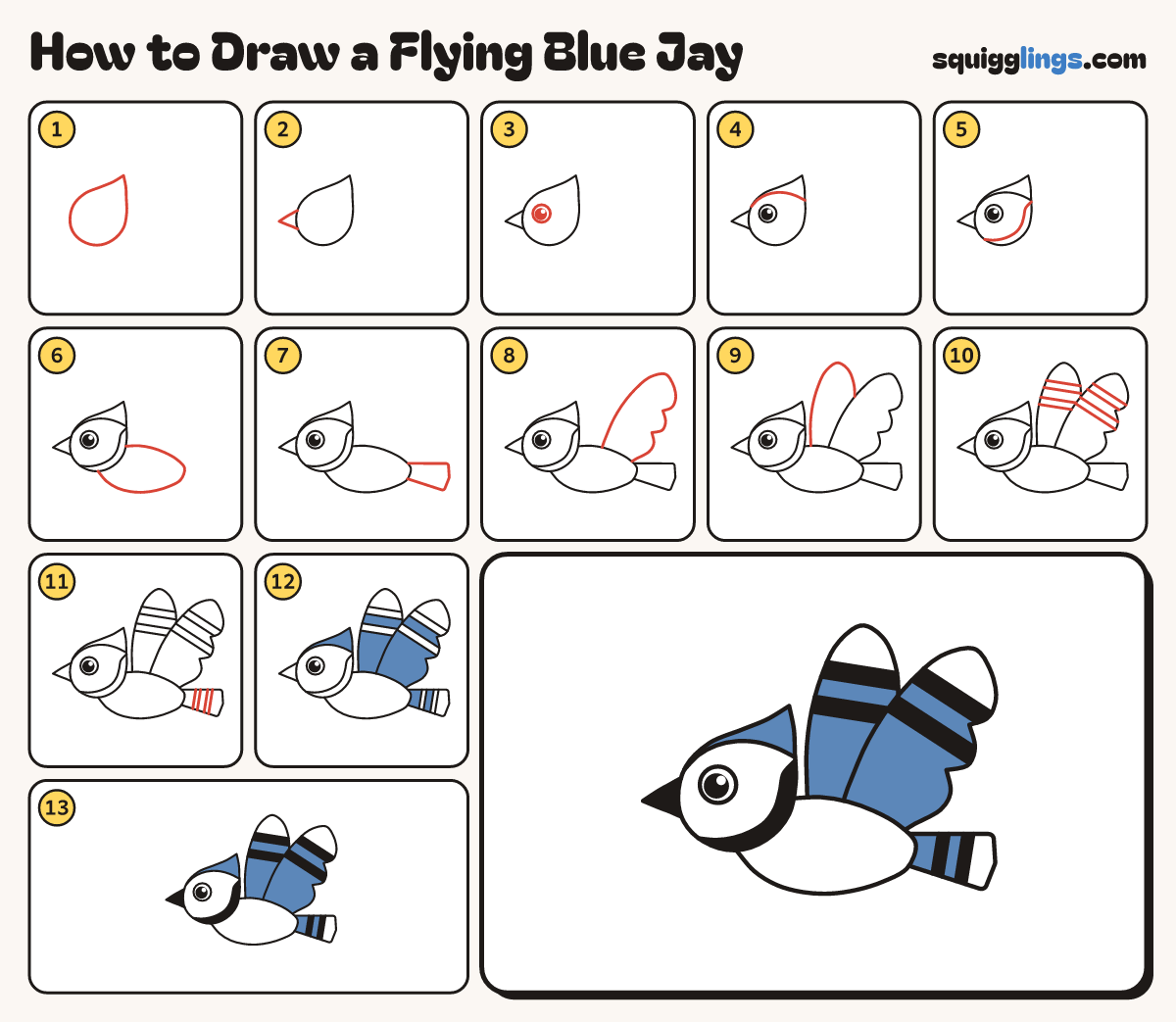 How to Draw a Flying Blue Jay step by step: all 13 steps in one picture