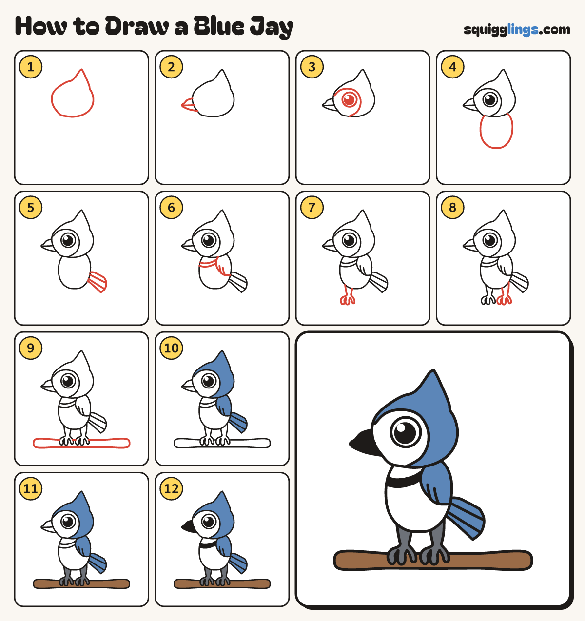 How to Draw a Blue Jay step by step: all 12 steps in one picture