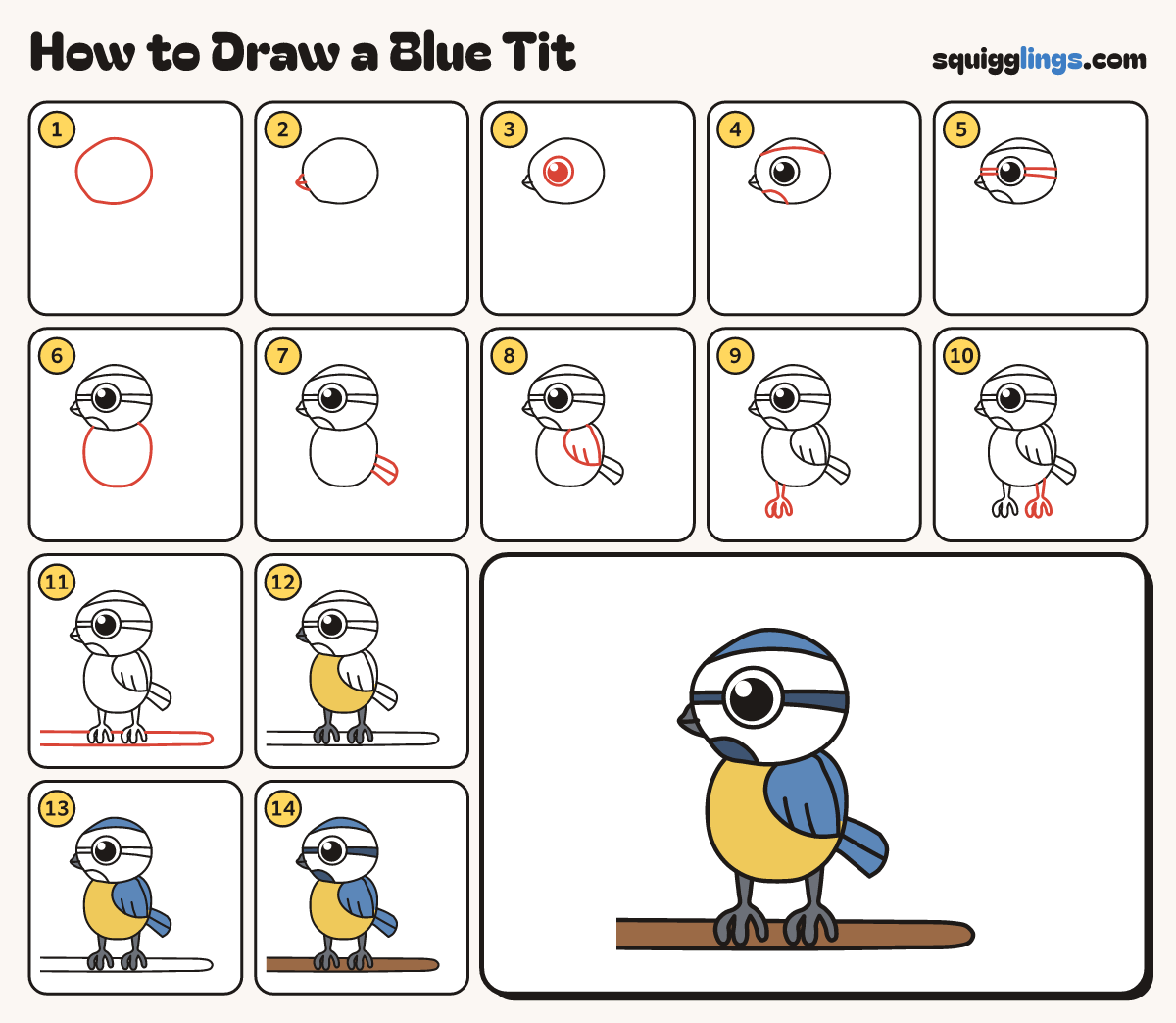 How to Draw a Blue Tit step by step: all 14 steps in one picture