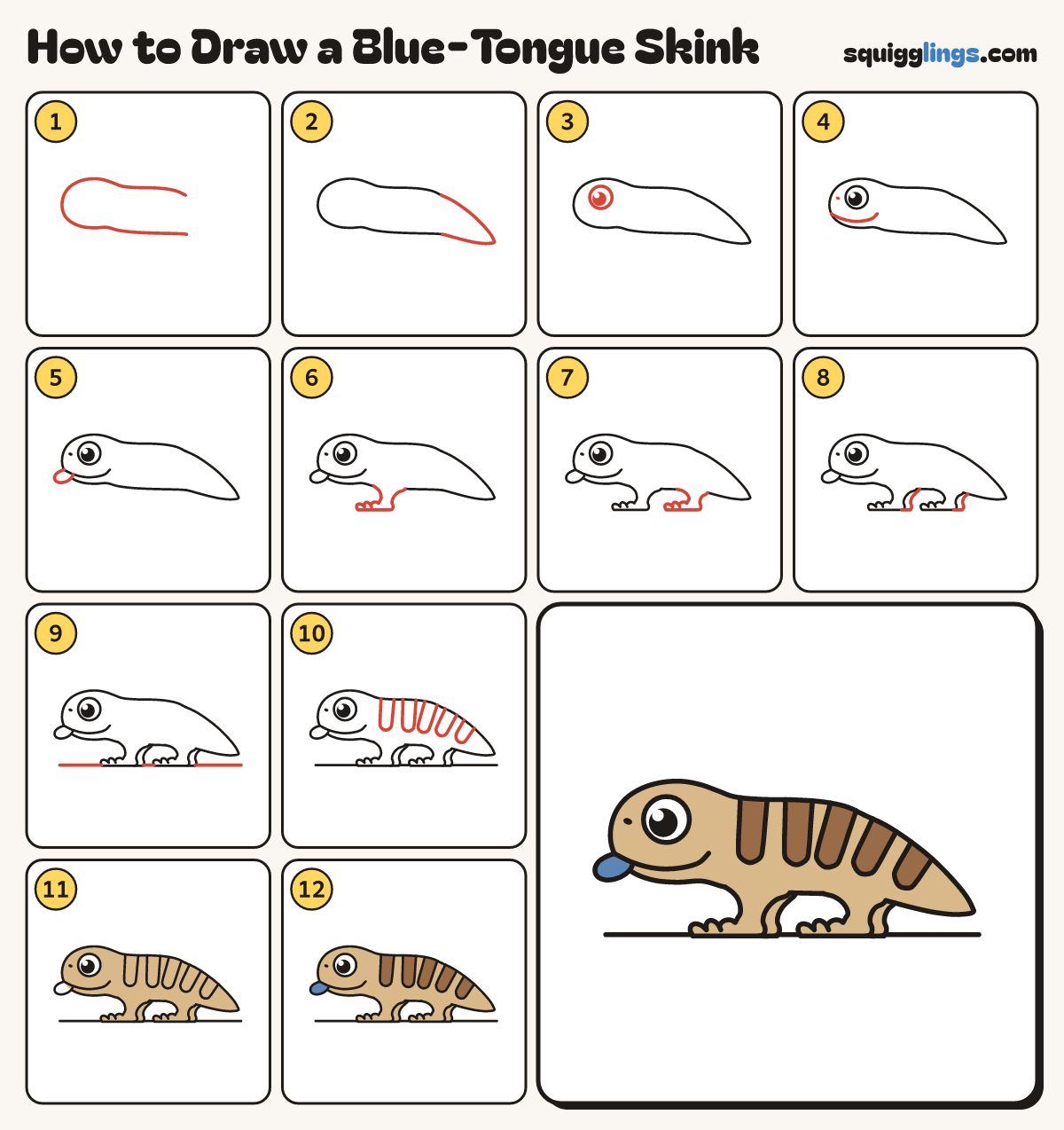 How to Draw a Blue-Tongue Skink step by step: all 12 steps in one picture