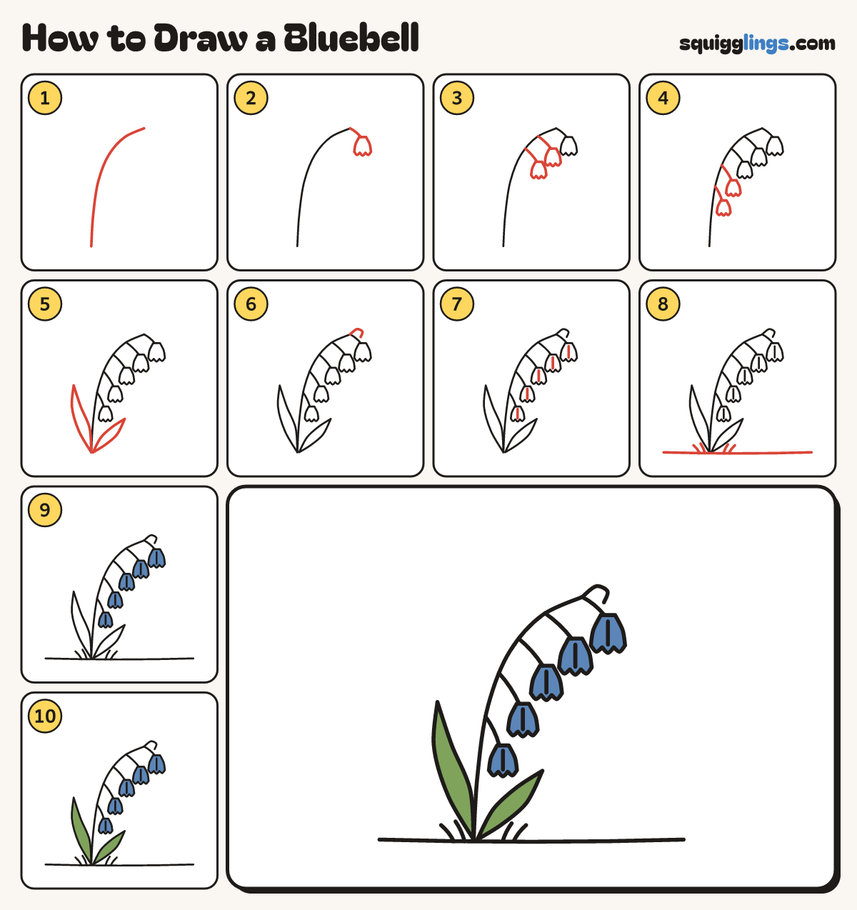How to Draw a Bluebell step by step: all 10 steps in one picture