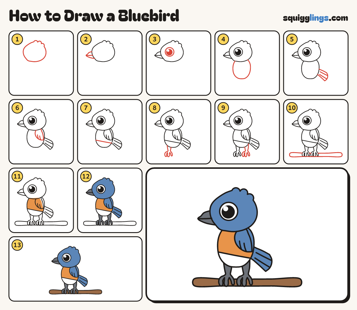 How to Draw a Bluebird step by step: all 13 steps in one picture