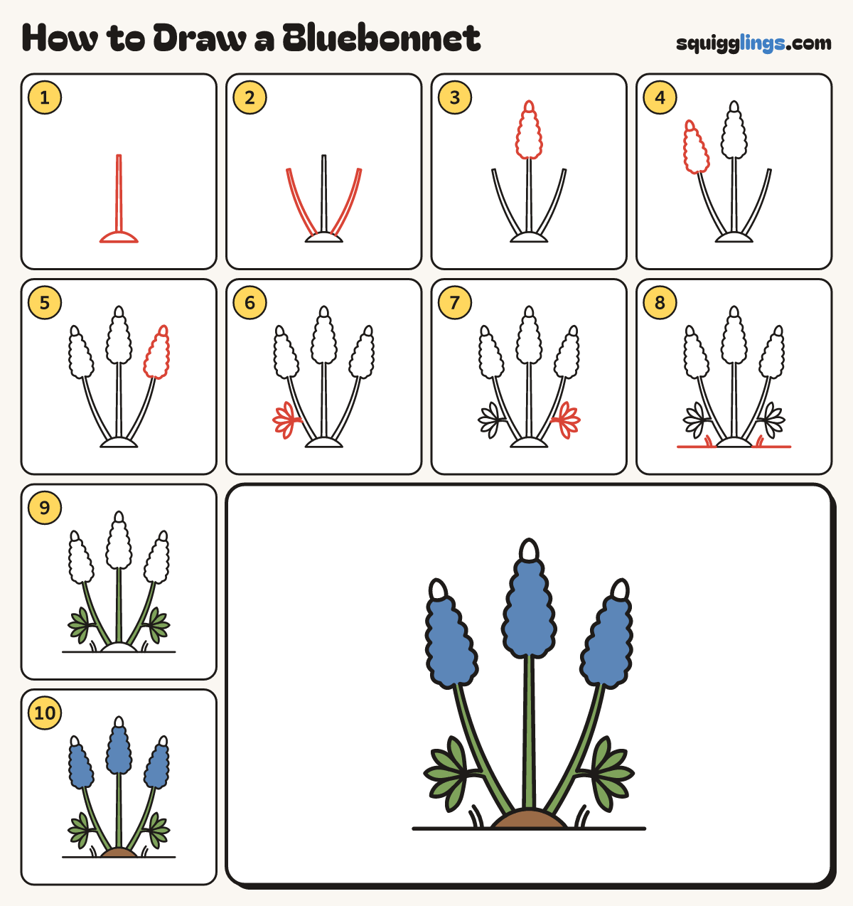 How to Draw a Bluebonnet step by step: all 10 steps in one picture