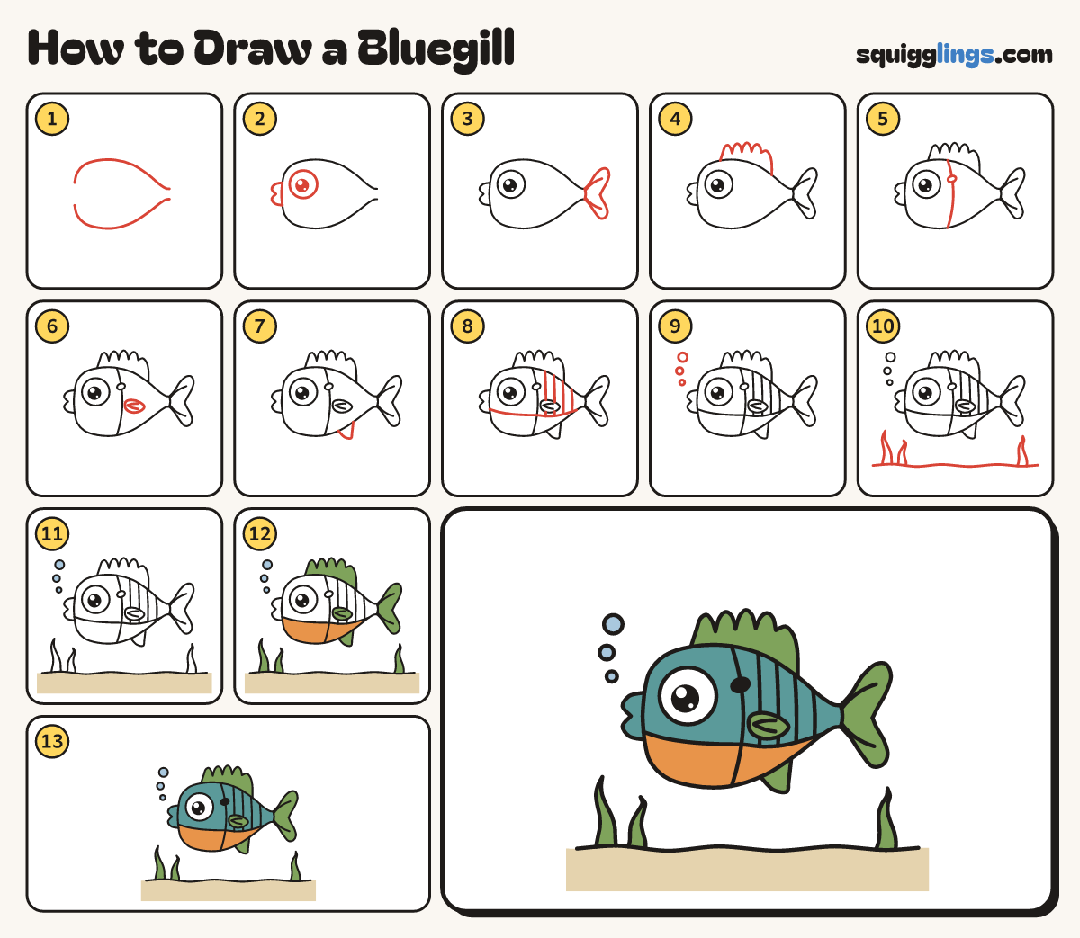 How to Draw a Bluegill step by step: all 13 steps in one picture