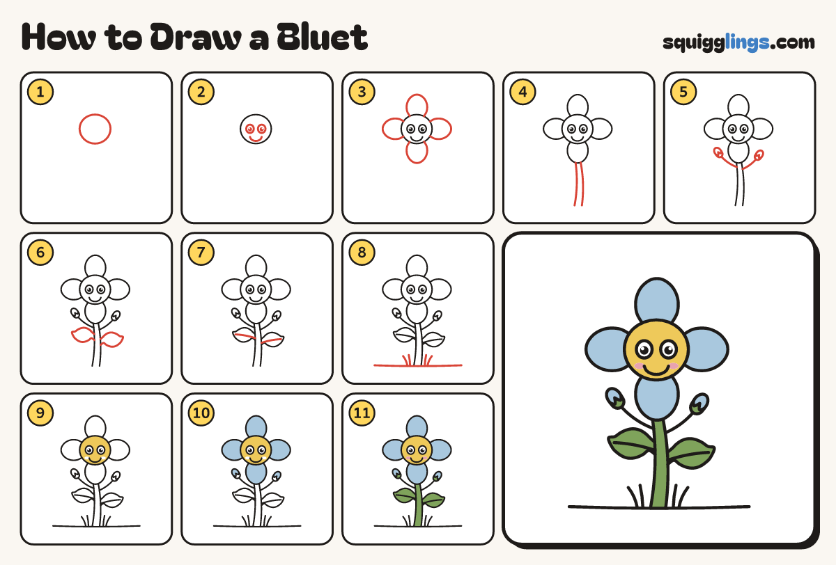 How to Draw a Bluet step by step: all 11 steps in one picture