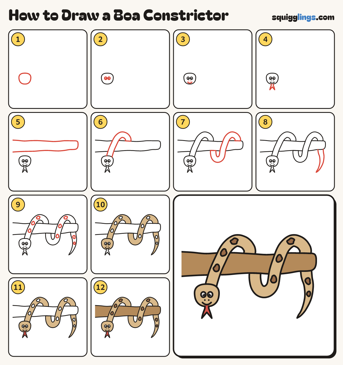 How to Draw a Boa Constrictor step by step: all 12 steps in one picture