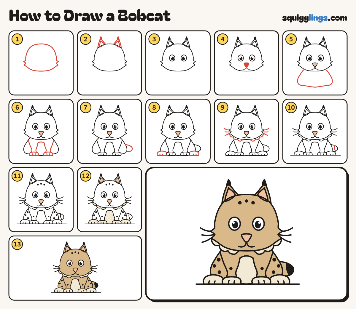 How to Draw a Bobcat step by step: all 13 steps in one picture