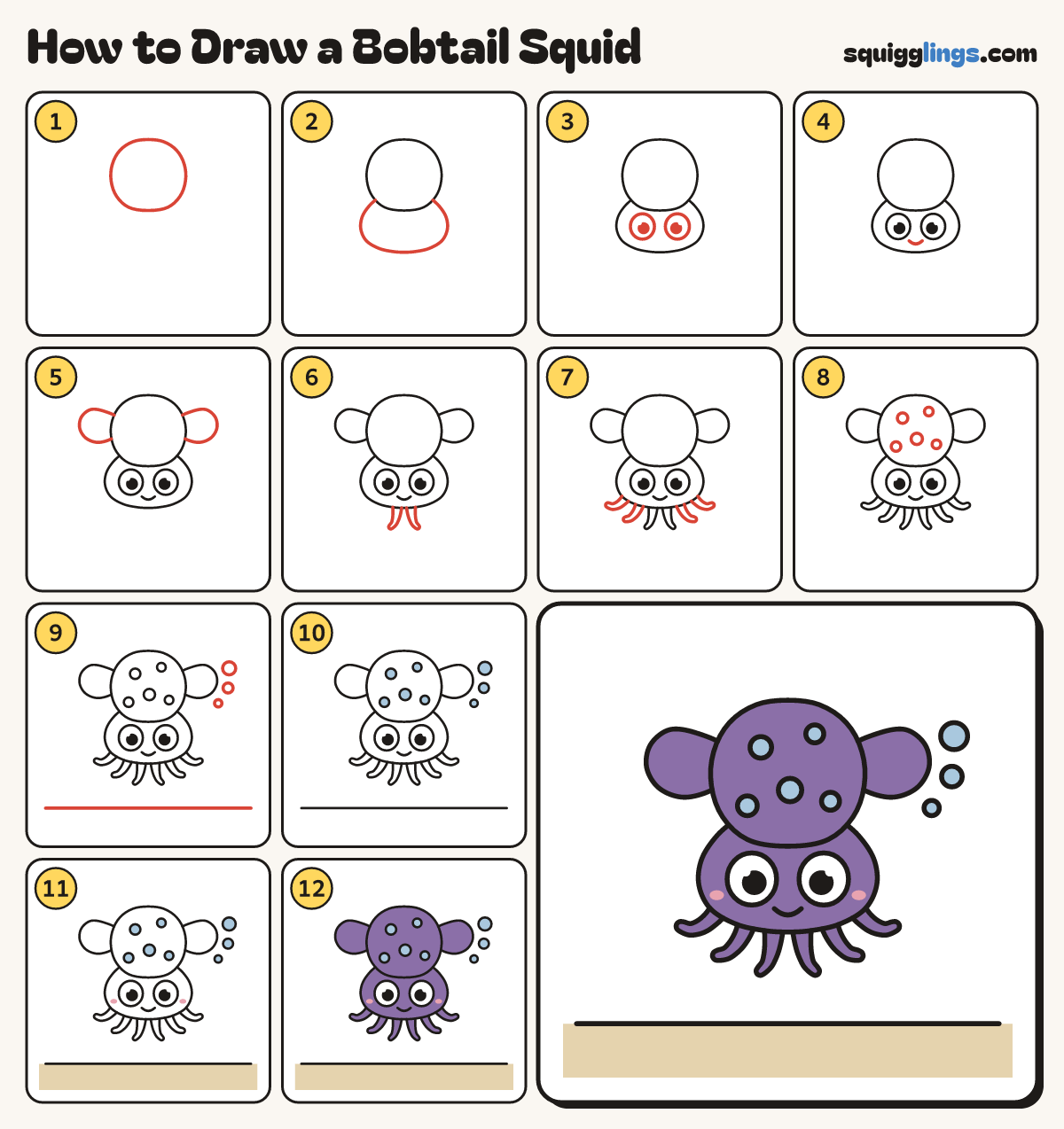 How to Draw a Bobtail Squid step by step: all 12 steps in one picture