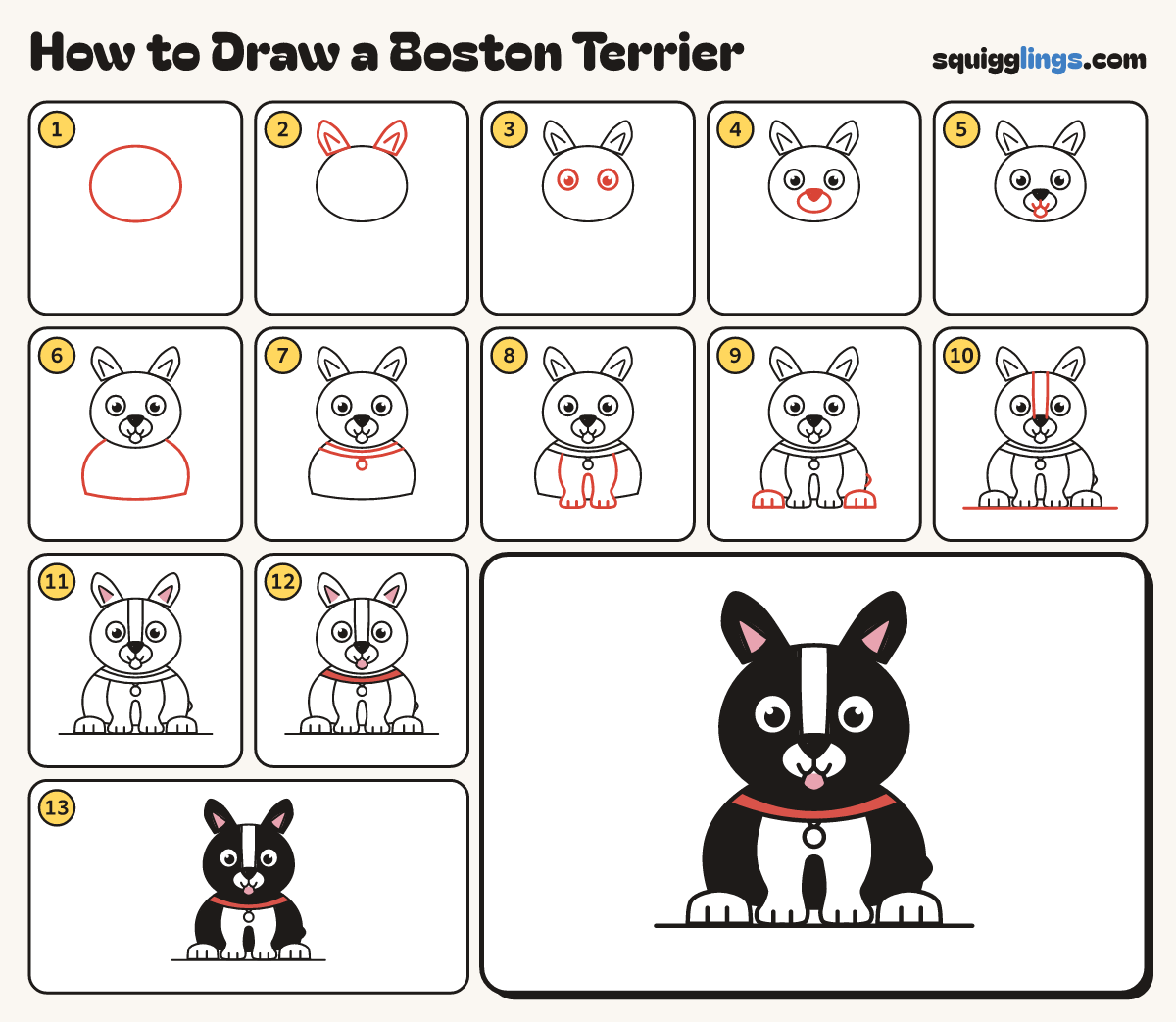 How to Draw a Boston Terrier step by step: all 13 steps in one picture