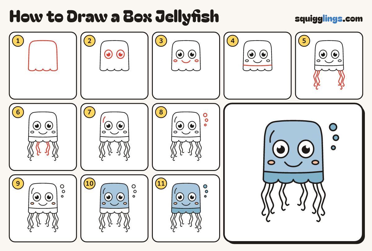 How to Draw a Box Jellyfish step by step: all 11 steps in one picture
