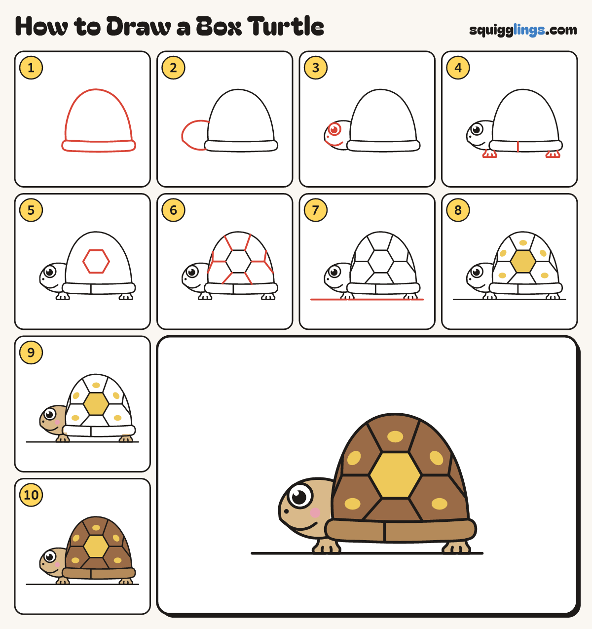 How to Draw a Box Turtle step by step: all 10 steps in one picture