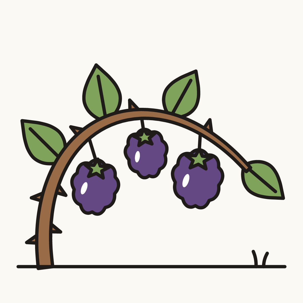 Finished drawing of a bramble