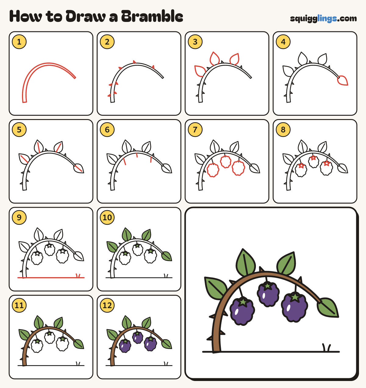 How to Draw a Bramble step by step: all 12 steps in one picture