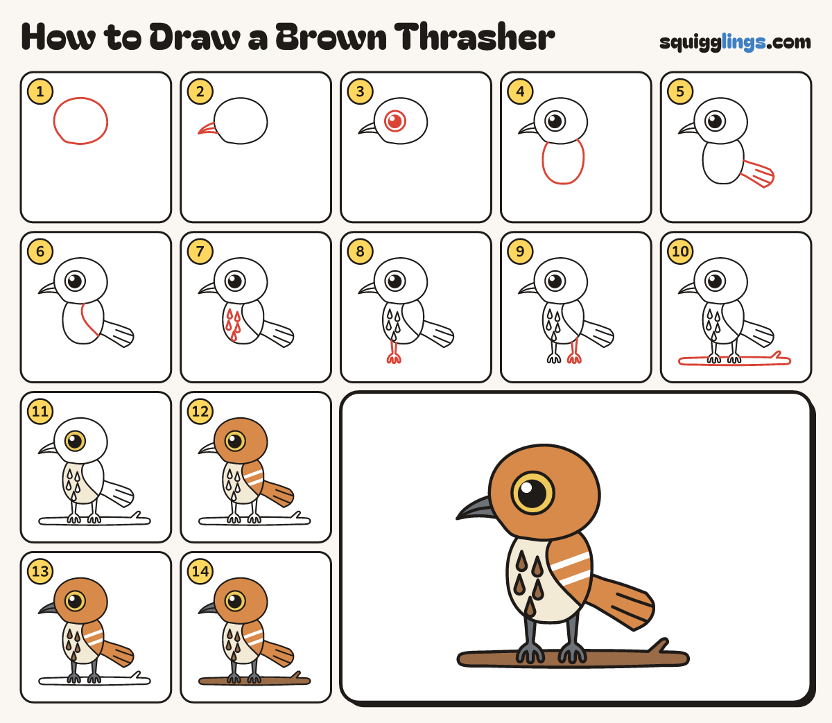 How to Draw a Brown Thrasher step by step: all 14 steps in one picture