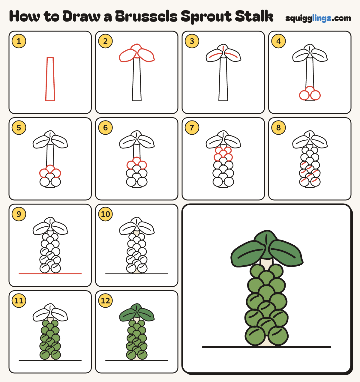 How to Draw a Brussels Sprout Stalk step by step: all 12 steps in one picture