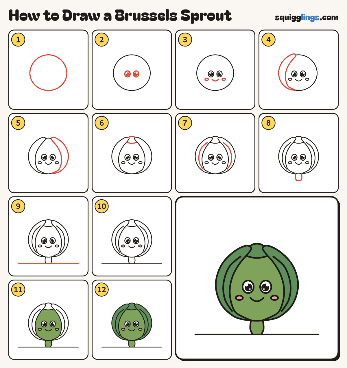 How to Draw a Brussels Sprout step by step: all 12 steps in one picture
