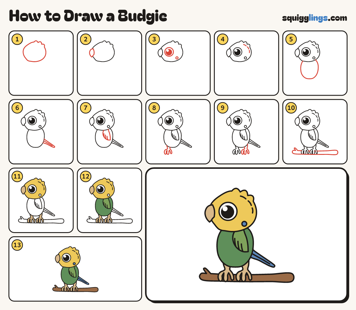 How to Draw a Budgie step by step: all 13 steps in one picture