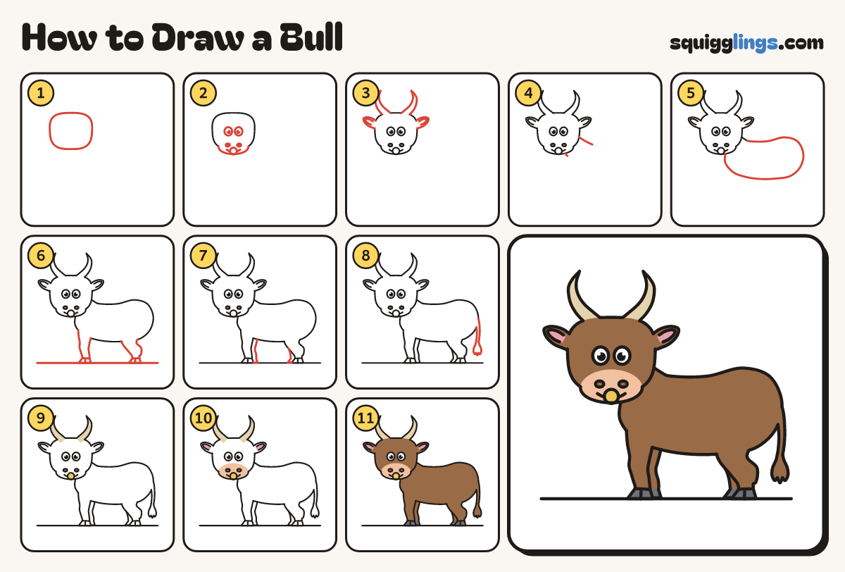 How to Draw a Bull step by step: all 11 steps in one picture