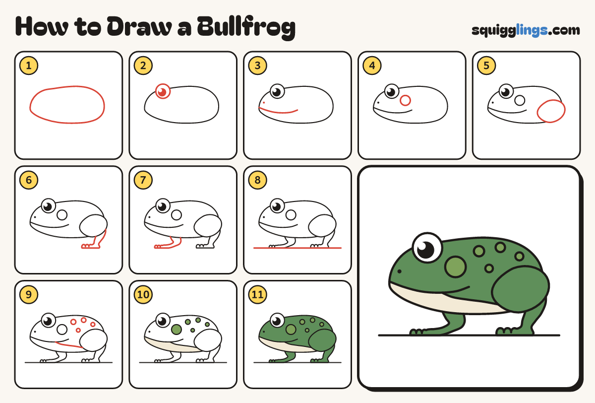 How to Draw a Bullfrog step by step: all 11 steps in one picture