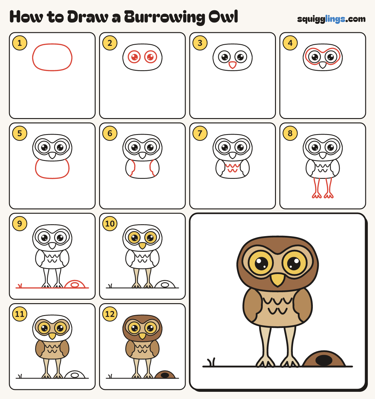 How to Draw a Burrowing Owl step by step: all 12 steps in one picture