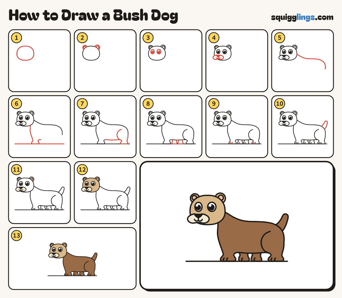 How to Draw a Bush Dog step by step: all 13 steps in one picture