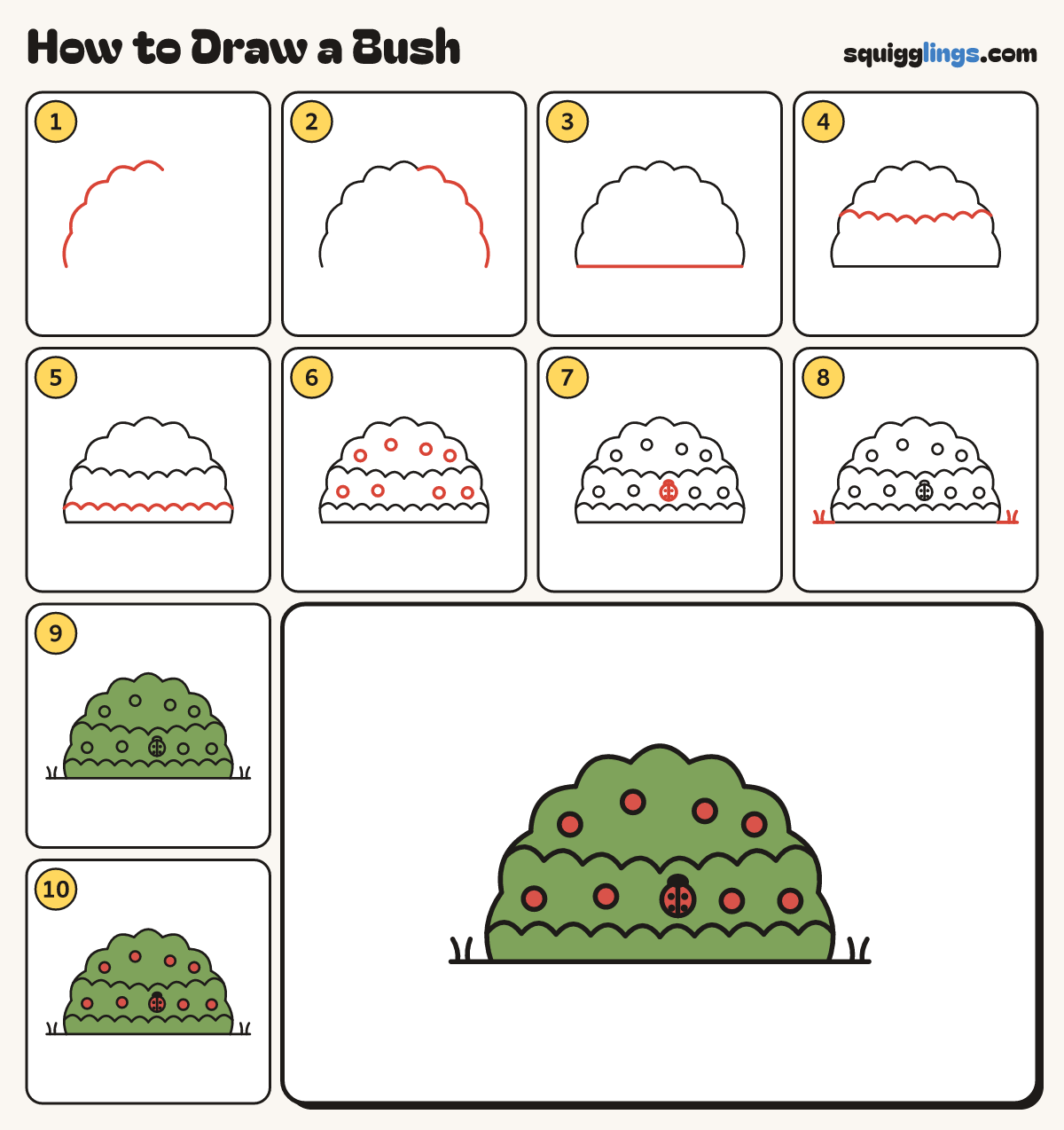 How to Draw a Bush step by step: all 10 steps in one picture
