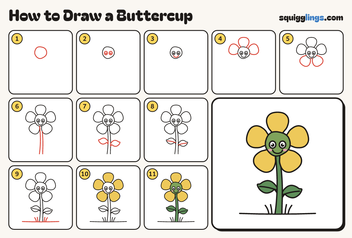 How to Draw a Buttercup step by step: all 11 steps in one picture