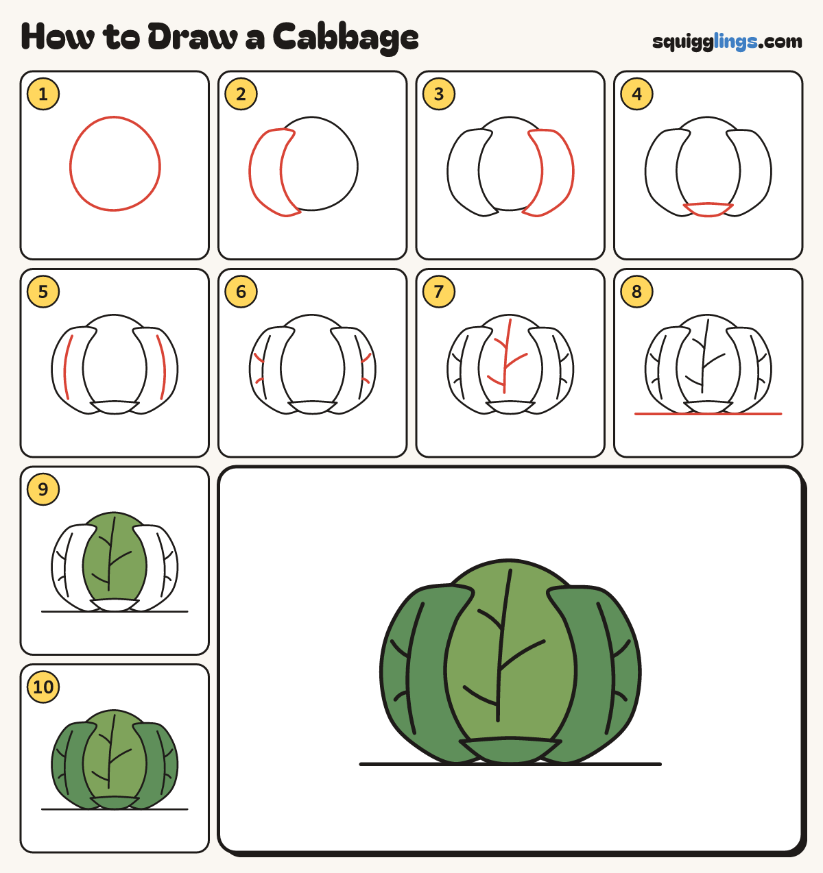 How to Draw a Cabbage step by step: all 10 steps in one picture