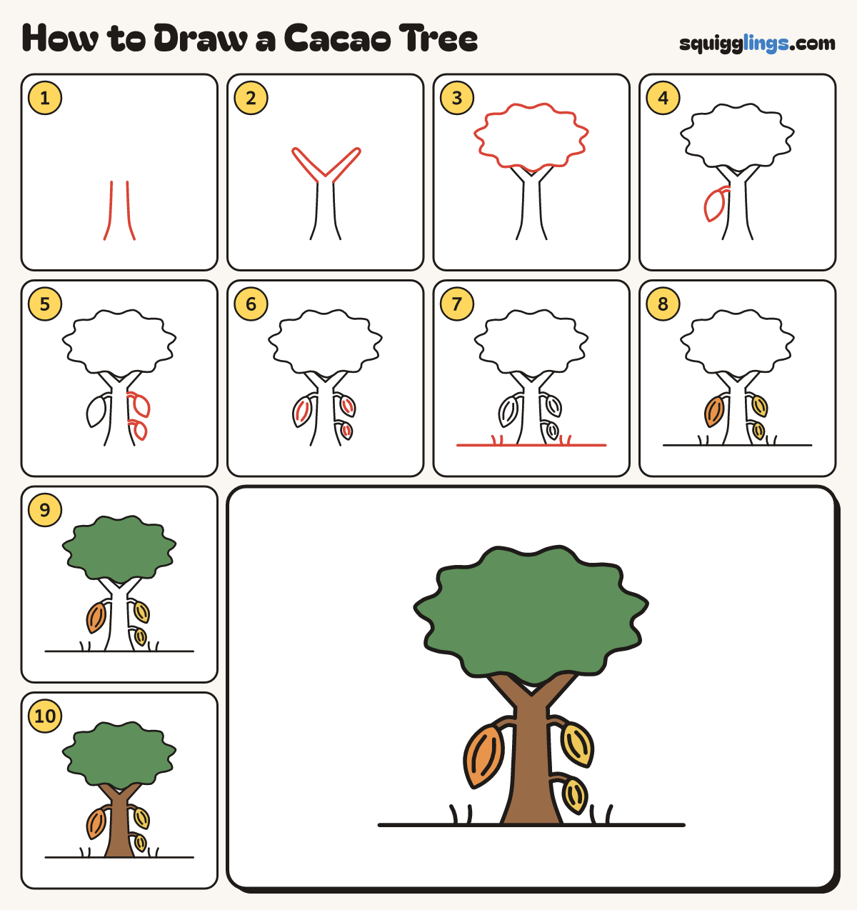 How to Draw a Cacao Tree step by step: all 10 steps in one picture