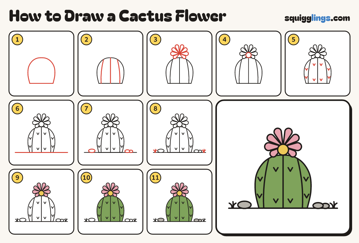 How to Draw a Cactus Flower step by step: all 11 steps in one picture