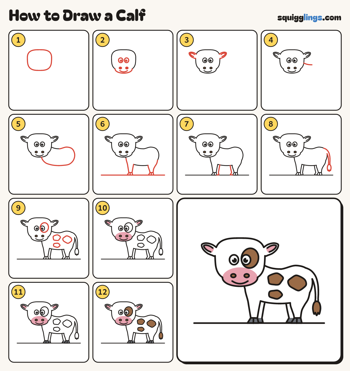 How to Draw a Calf step by step: all 12 steps in one picture