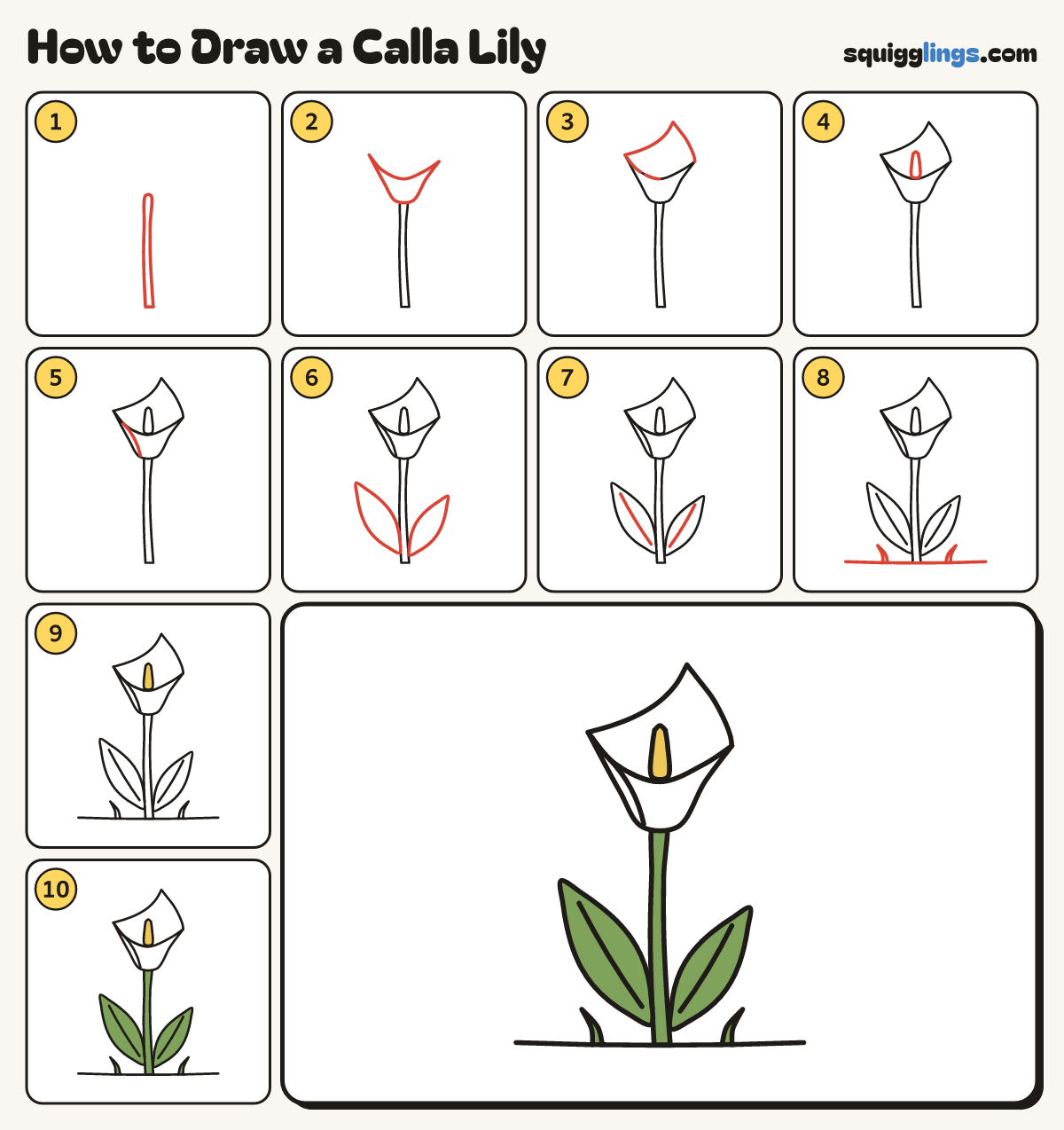 How to Draw a Calla Lily step by step: all 10 steps in one picture