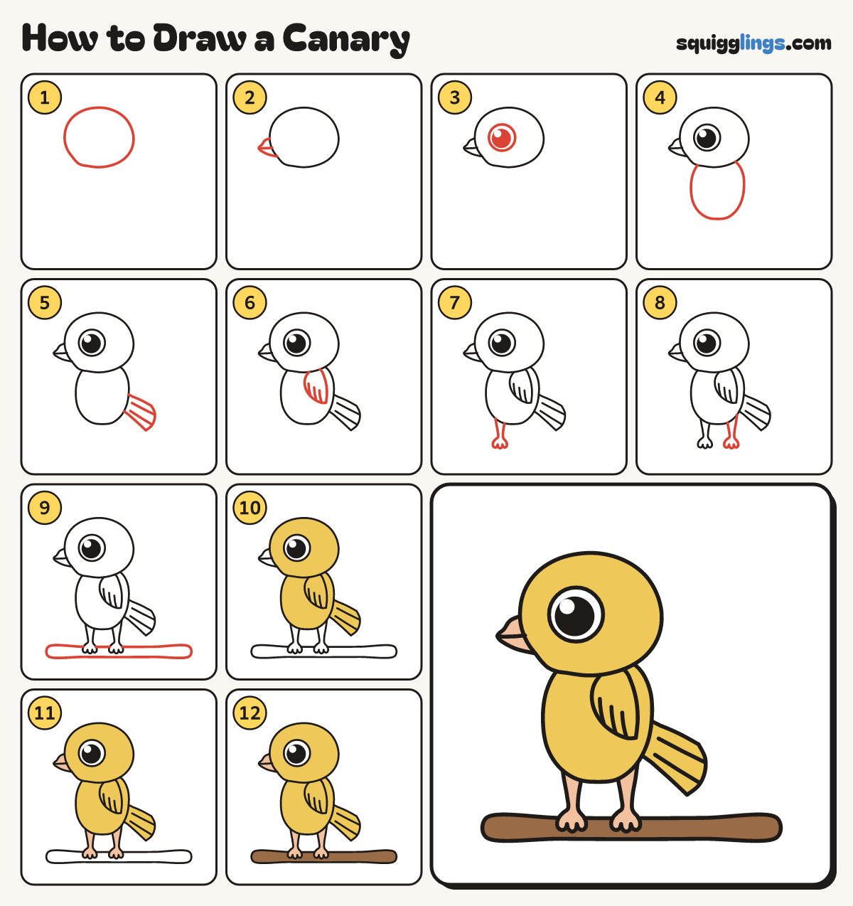How to Draw a Canary step by step: all 12 steps in one picture