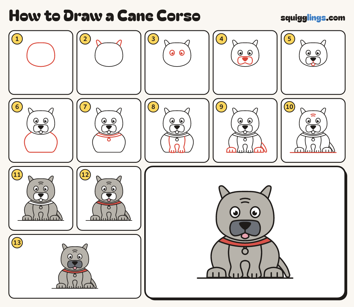 How to Draw a Cane Corso step by step: all 13 steps in one picture