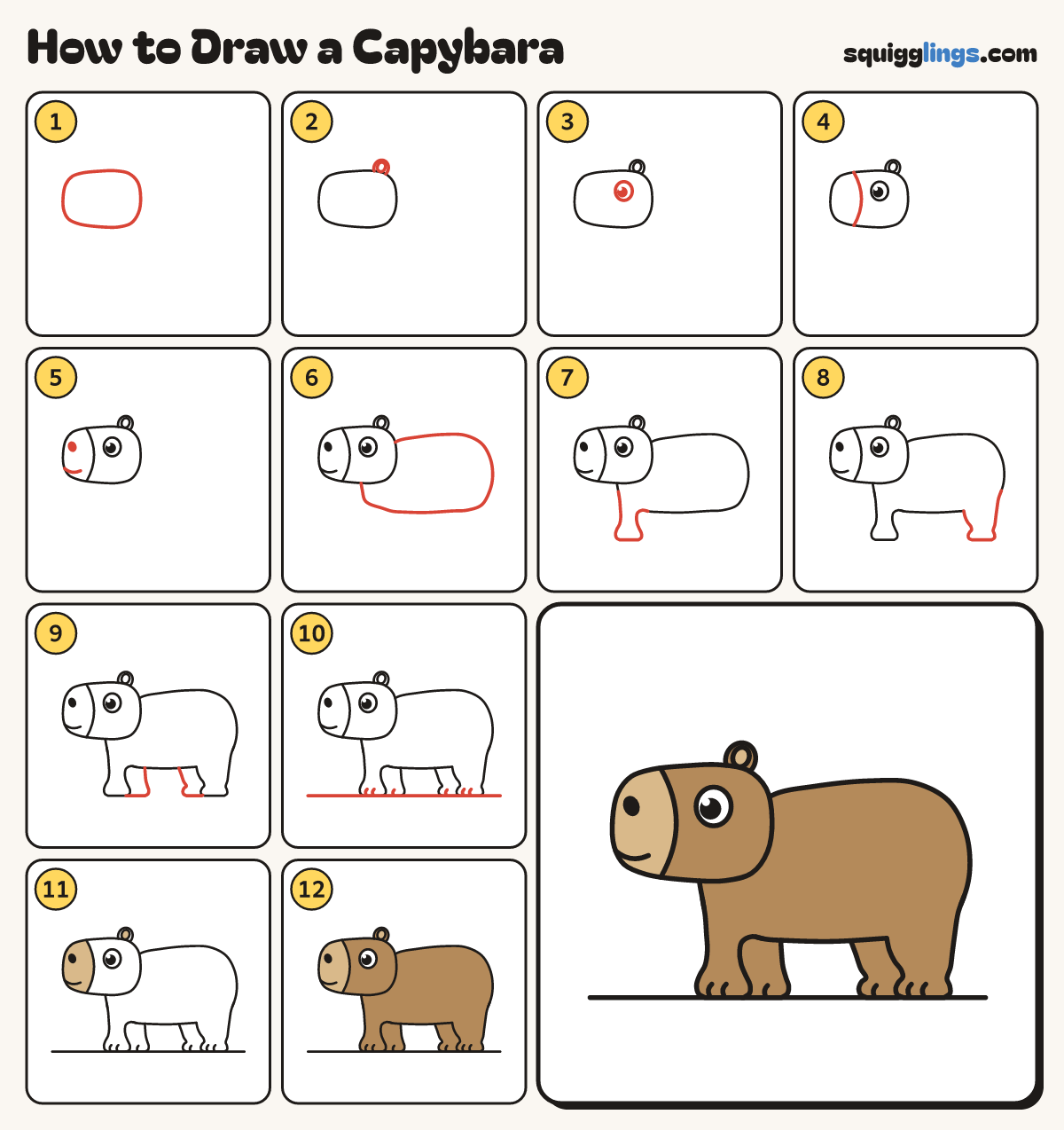 How to Draw a Capybara step by step: all 12 steps in one picture