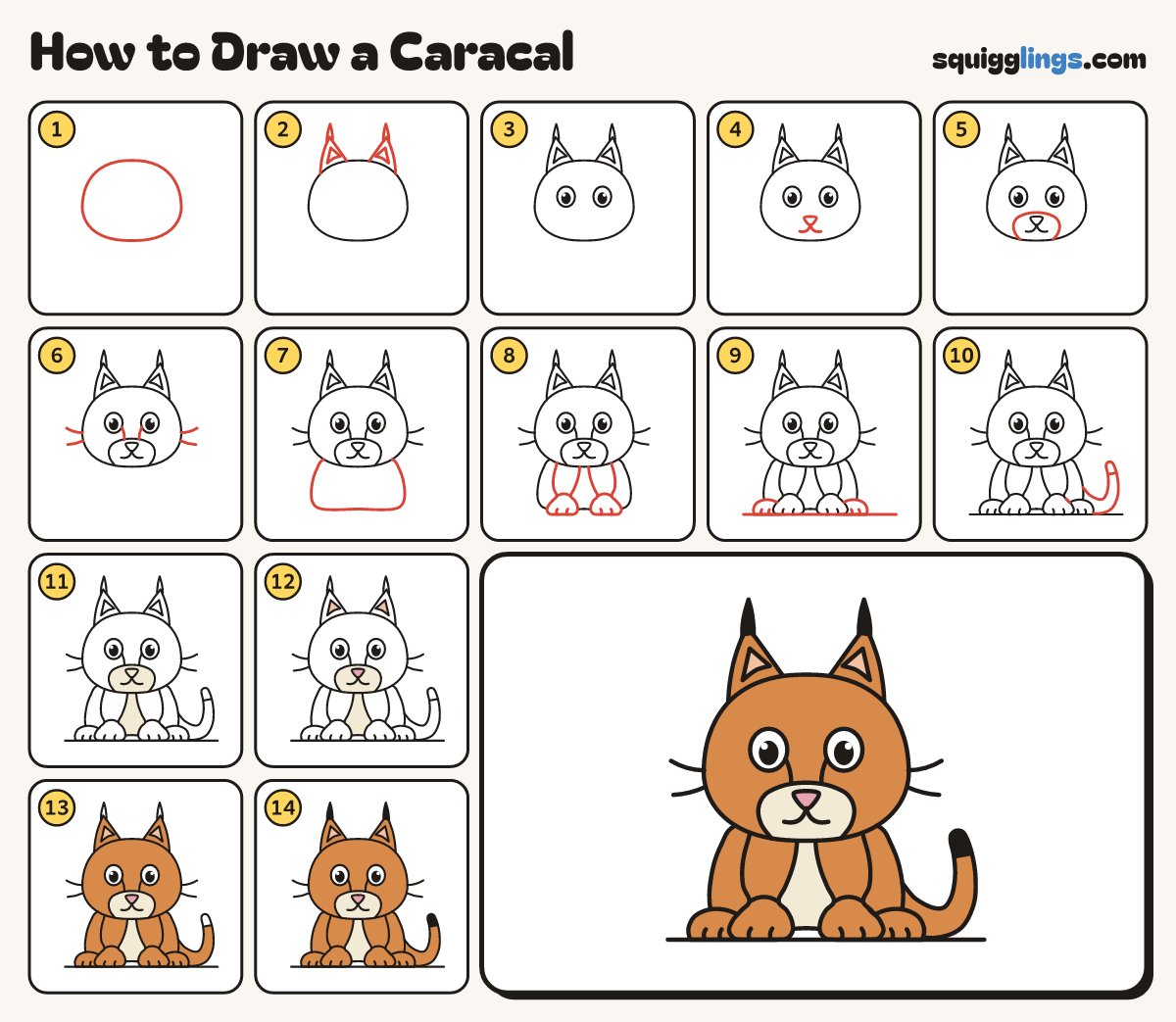 How to Draw a Caracal step by step: all 14 steps in one picture