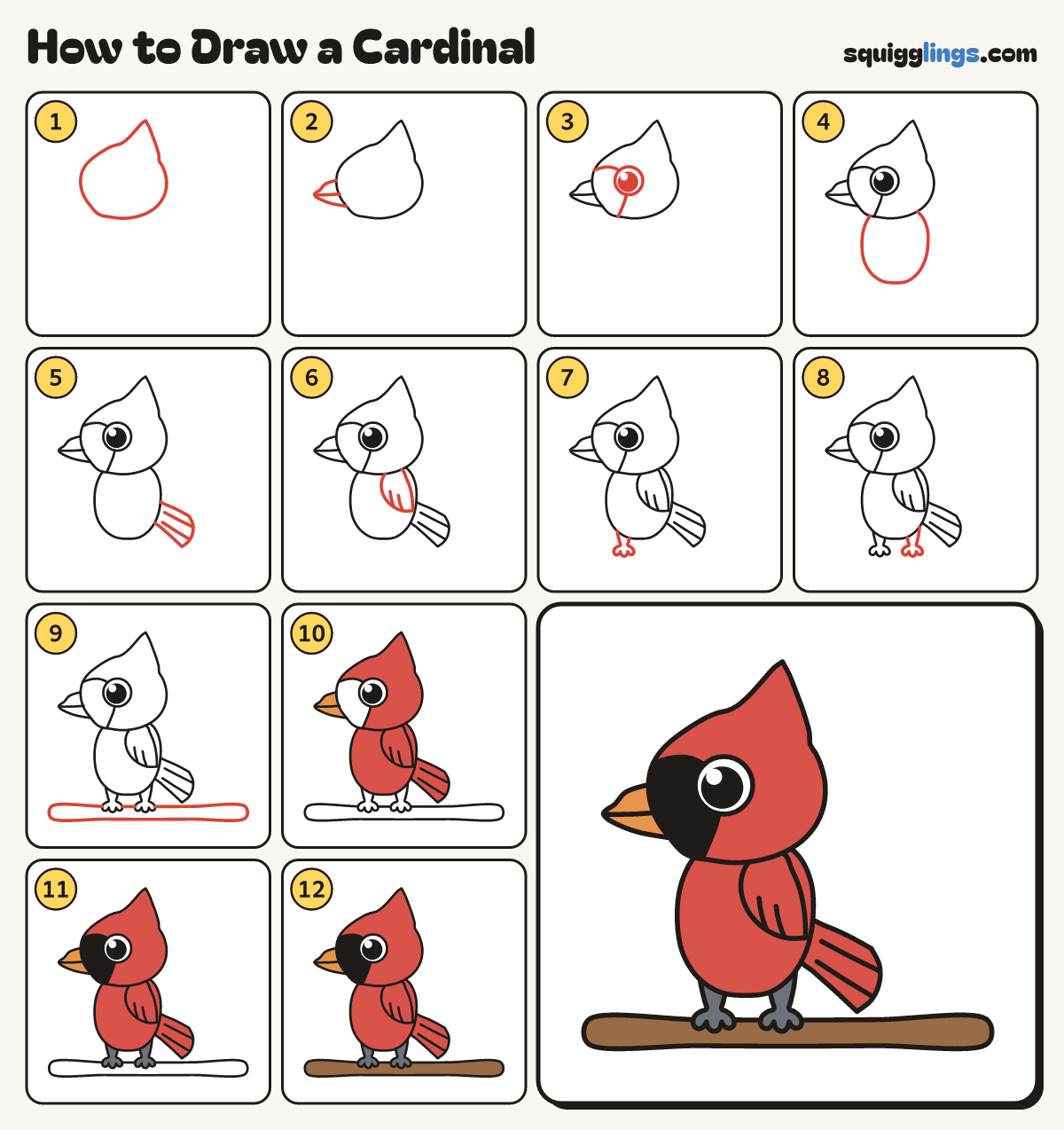 How to Draw a Cardinal step by step: all 12 steps in one picture