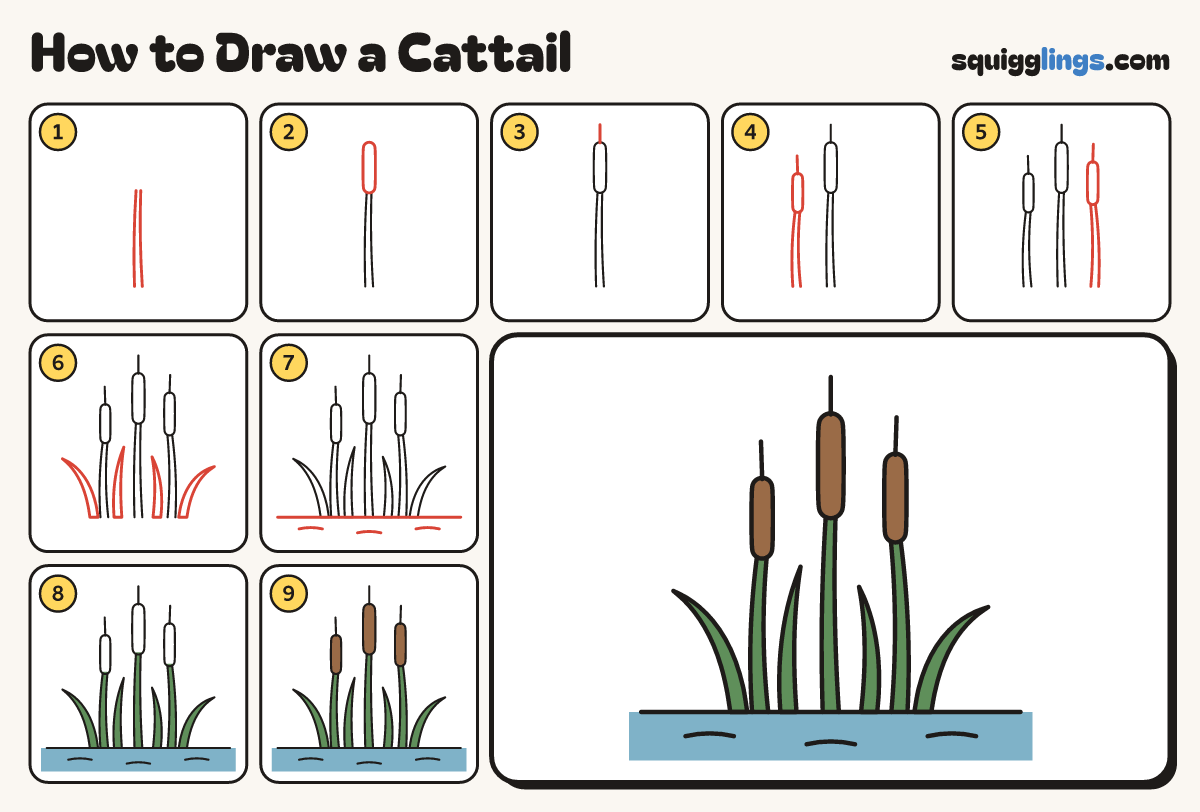 How to Draw a Cattail step by step: all 9 steps in one picture