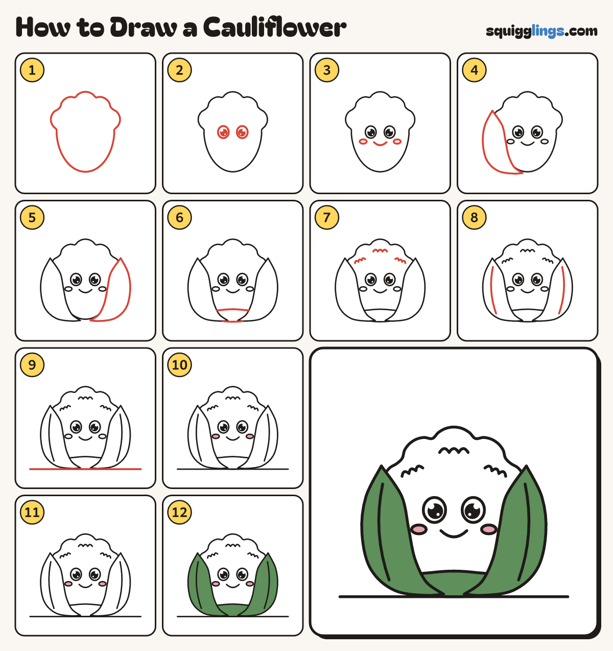 How to Draw a Cauliflower step by step: all 12 steps in one picture