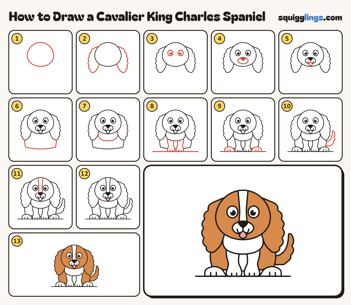 How to Draw a Cavalier King Charles Spaniel step by step: all 13 steps in one picture